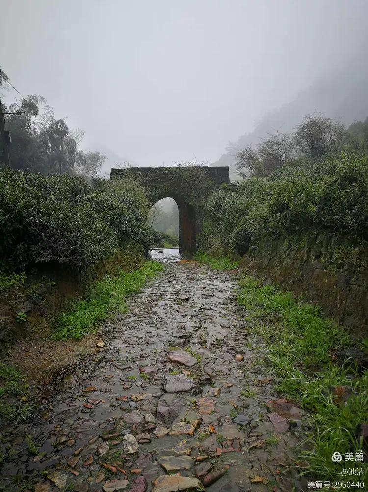 江山如画……仙霞仙境